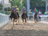 Palio di Piancastagnaio 2019: la fotogallery della prova di questa mattina